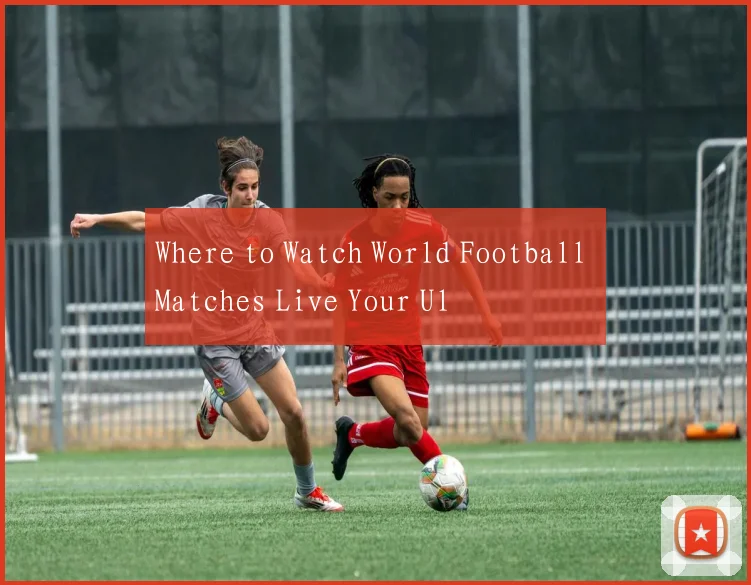 Where to Watch World Football Matches Live Your Ul