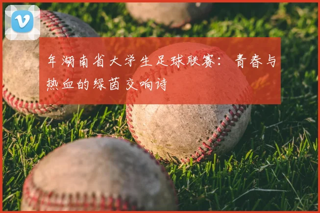 年湖南省大学生足球联赛:青春与热血的绿茵交响诗